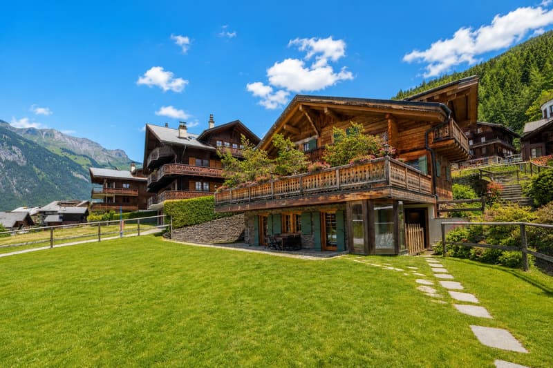 Sublime appartement de 3.5 pces - Terrasse et vue totalement dégagée (3)