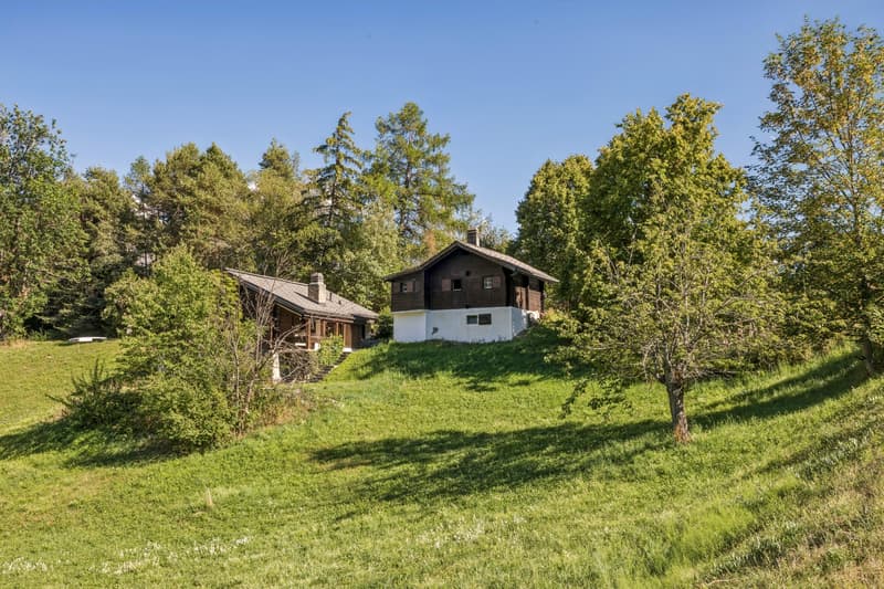 Chalet aux Mayens de Chamoson - Vue & Potentiel (1)