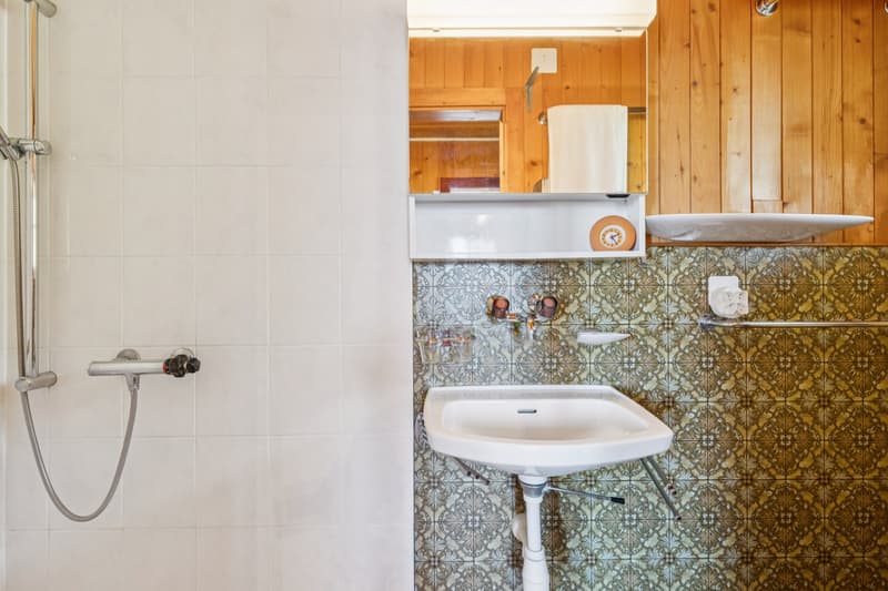Joli chalet dans un environnement privilégié (11)