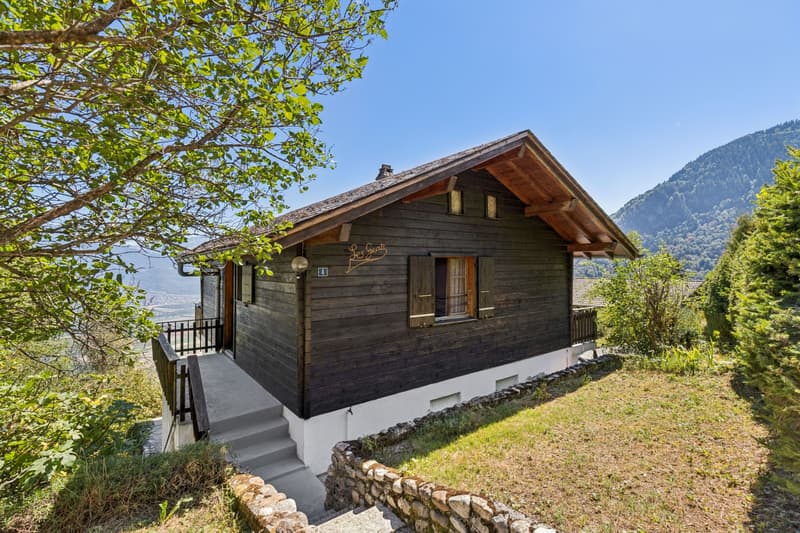 Joli chalet dans un environnement privilégié (5)
