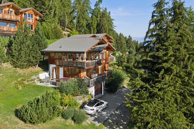 Résidence secondaire - Un bien d'exception aux portes des 4 vallées. (4)