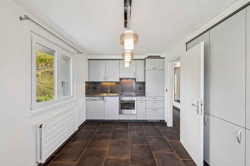 Maison individuelle avec vue panoramique et cadre privilégié (4)