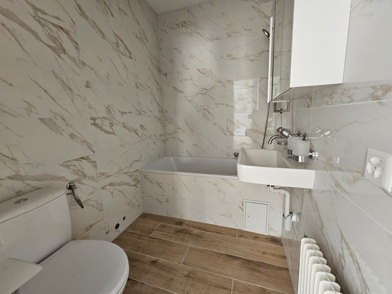 Appartement 2,5 pièces en PPE proche du Lac (5)