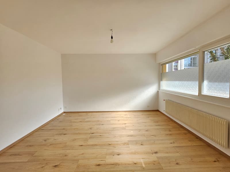 Appartement 2,5 pièces en PPE proche du Lac (3)