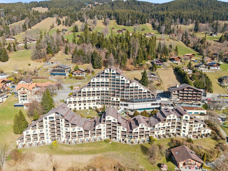 Charmant appartement de 3,5 pièces avec cuisine et salle de bains, lum (4)