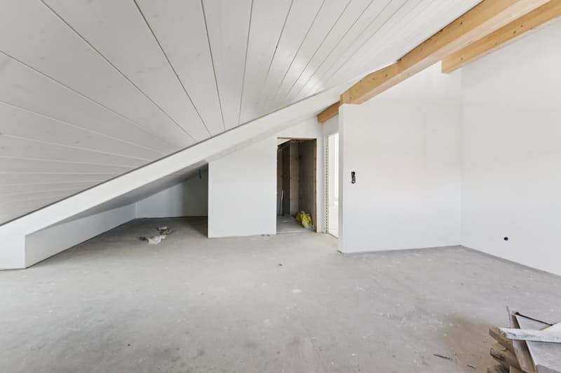 Zeitgemässes Loft mit freiem Blick auf die umliegenden Landwirtschafts (5)