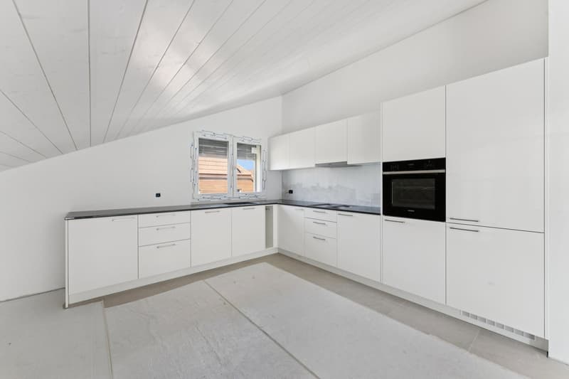 Zeitgemässes Loft mit freiem Blick auf die umliegenden Landwirtschafts (4)