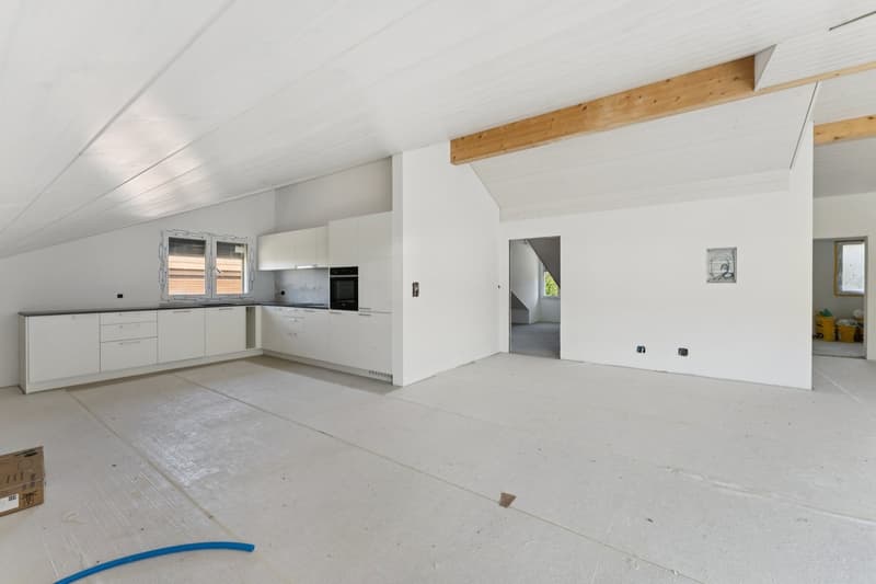 Zeitgemässes Loft mit freiem Blick auf die umliegenden Landwirtschafts (3)