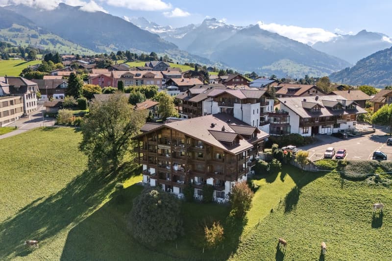 Aeschi Park Business Apartments - Spiez - Einheit 307 (4)