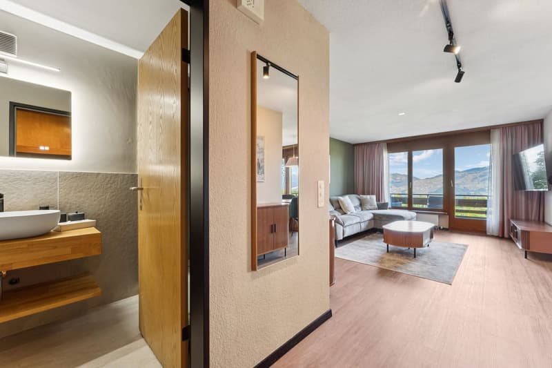 Aeschi Park Business Apartments - Spiez - Einheit 205 (8)