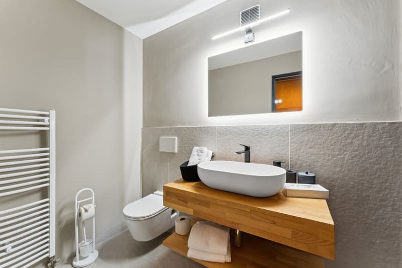 Aeschi Park Business Apartments - Spiez - Einheit 405 (11)