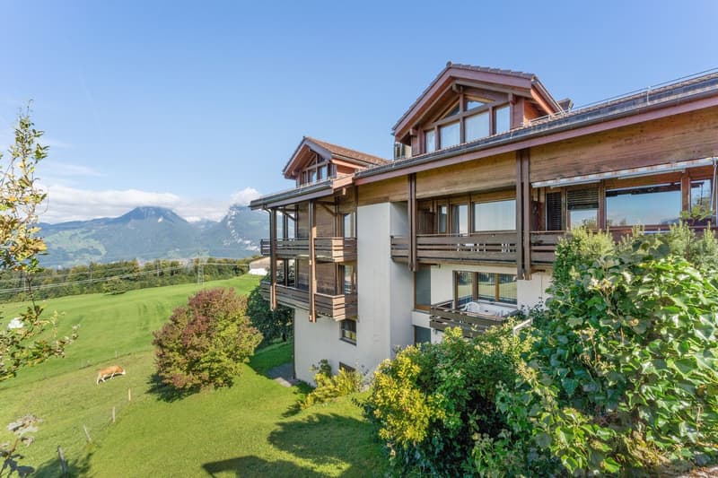 Aeschi Park Business Apartments - Spiez - Einheit 512 (2)