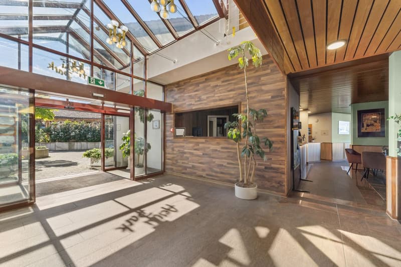 Aeschi Park Business Apartments - Spiez - Einheit 511 (5)