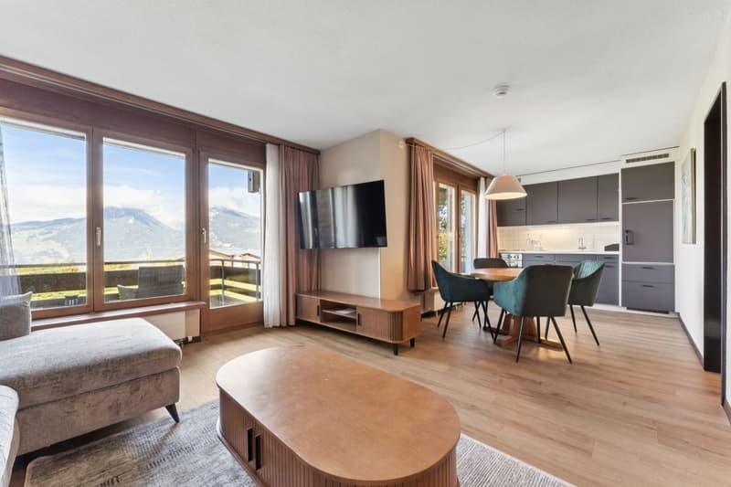 Aeschi Park Business Apartments - Spiez - Einheit 610 (8)