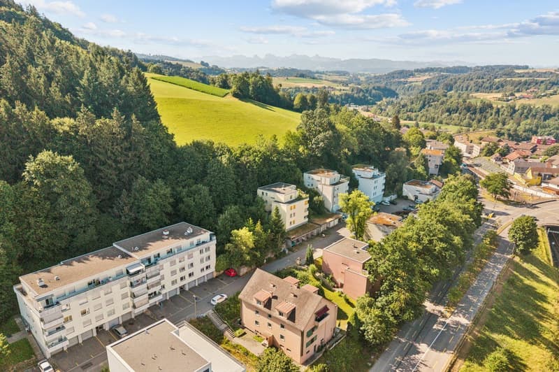 Immeuble de rendement de 8 logements entièrement loué, offrant un rend (9)