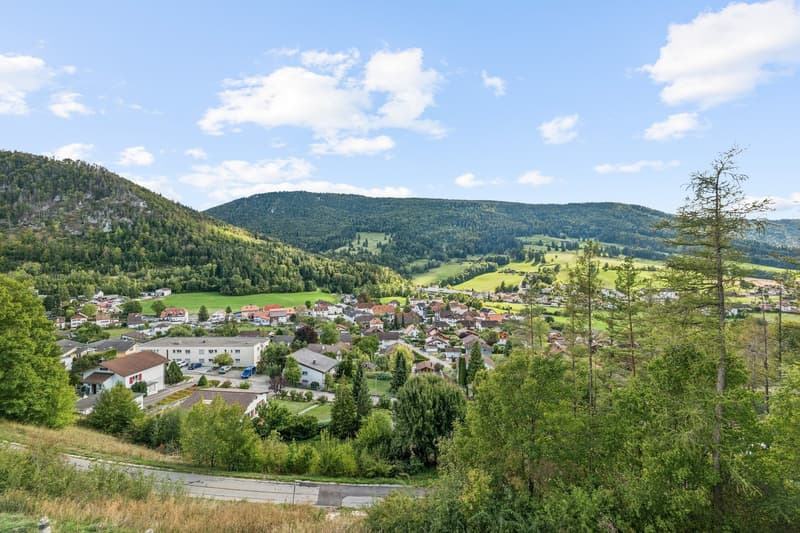 Bellevue Sonceboz - Lot W2 (5)