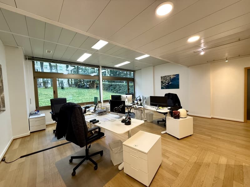 Arcade de 229 m² avec parkings proche Champel (2)
