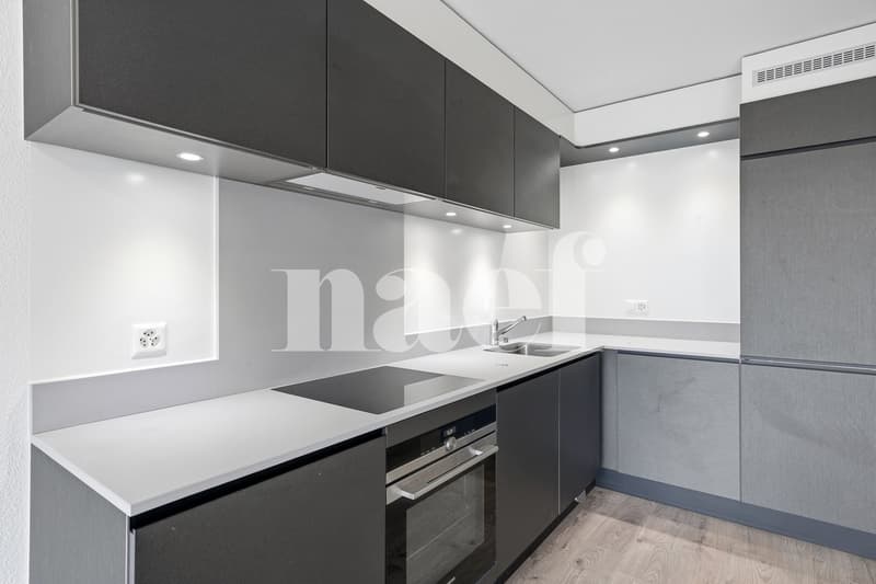 En exclusivité : Appartement de 3.5 pièces (3)