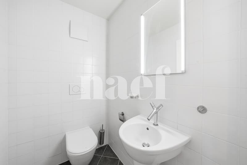 En exclusivité : Appartement de 3.5 pièces (7)
