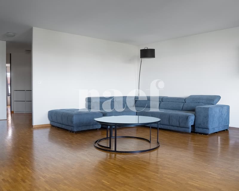 EN EXCLUSIVITE : Appartement de 4.5 pièces au centre de Nyon (4)
