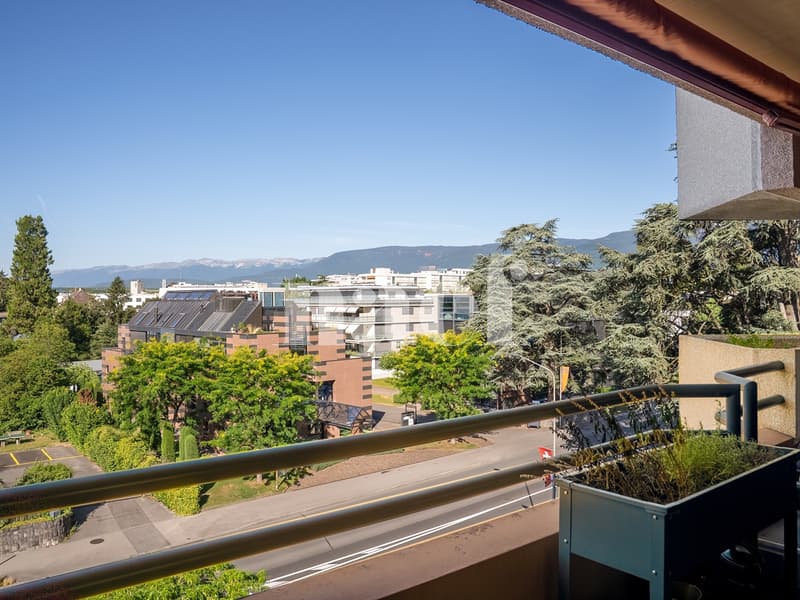 EN EXCLUSIVITE : Appartement de 4.5 pièces au centre de Nyon (1)