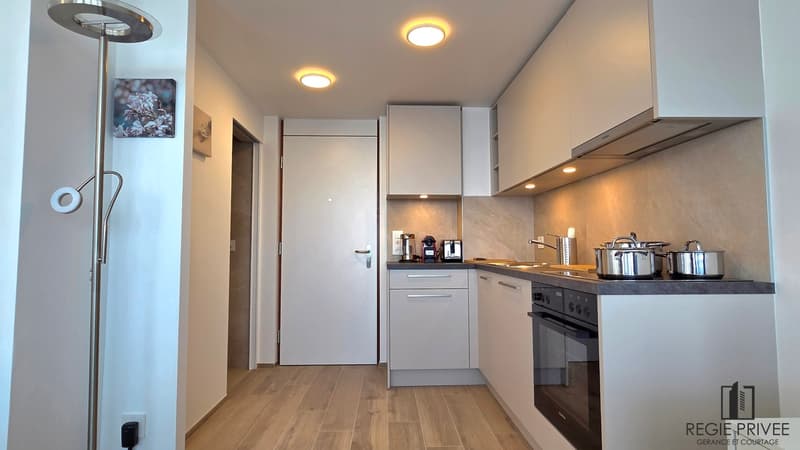Studio meublé & équipé à Lausanne (5)