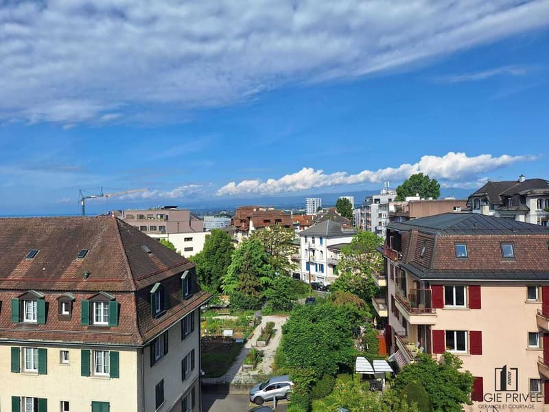 Studio meublé & équipé à Lausanne (9)