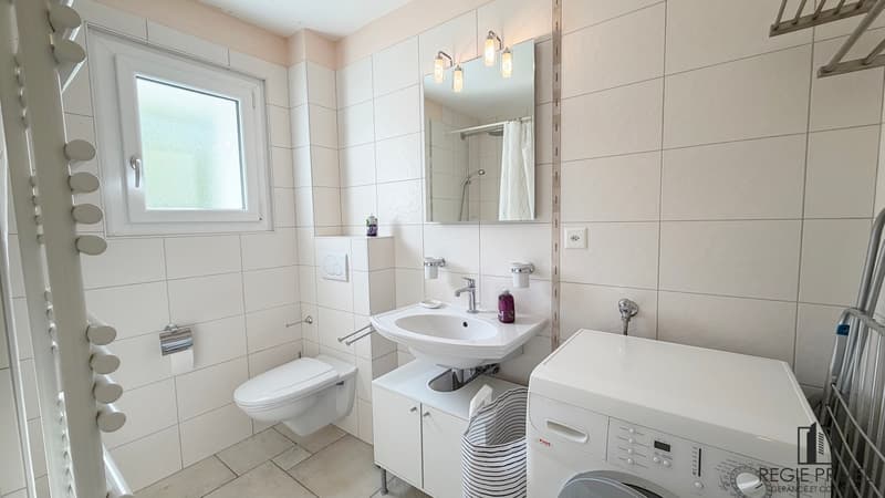 Appartement de 2.5p. meublé avec vue sur le lac (9)