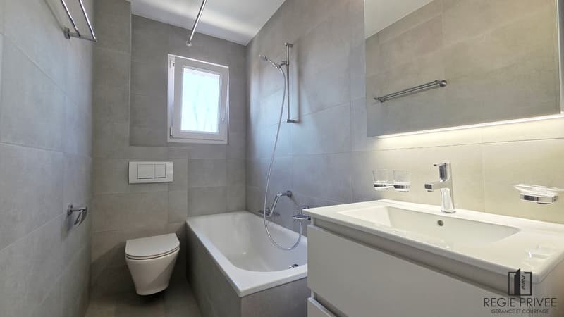 Appartement avec sous-sol privatif et immense jardin (8)