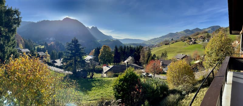 Unique à Charmey, chalet individuel de 5 pièces avec la possibilité d'occupation en résidence secondaire ou principale avec terrain constructible | homegate.ch