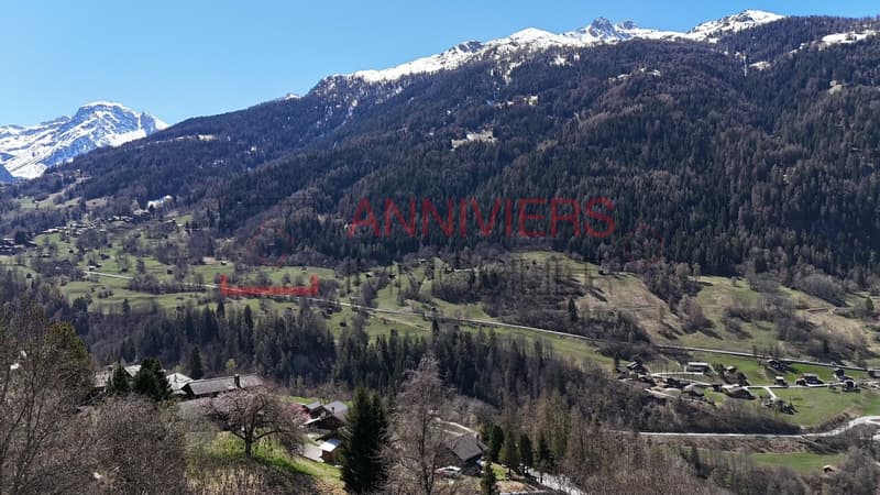 Vue exceptionnelle sur les montagnes et le fond de vallée