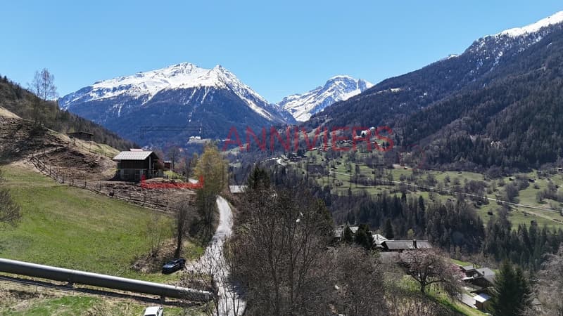 Vue exceptionnelle sur les montagnes et le fond de vallée
