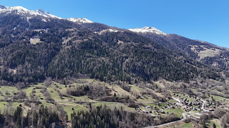 Vue panoramique