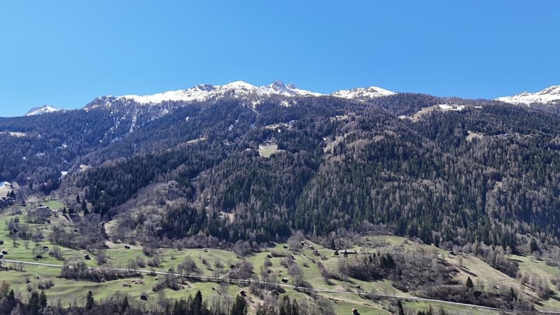Vue panoramique