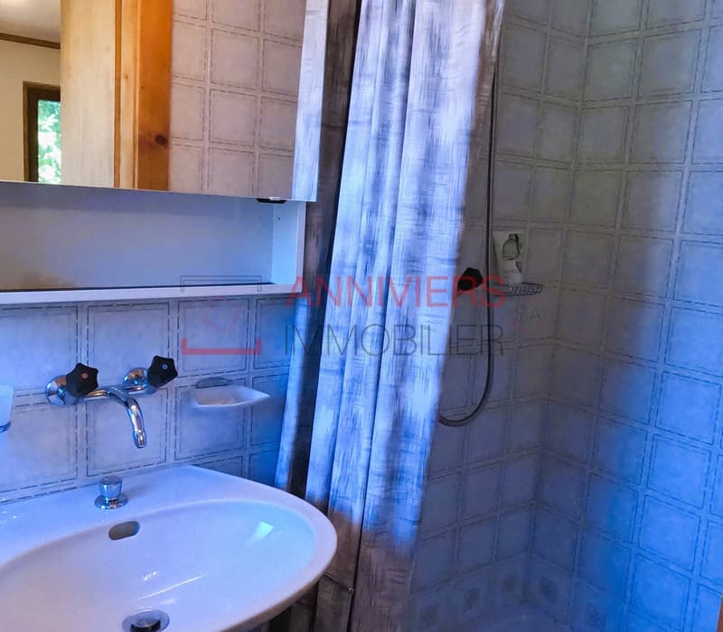 Salle d'eau avec douche, lavabo et WC