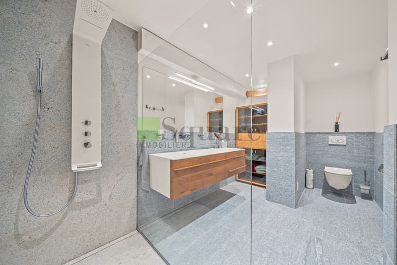 Magnifique appartement en duplex de 6 pièces (6)