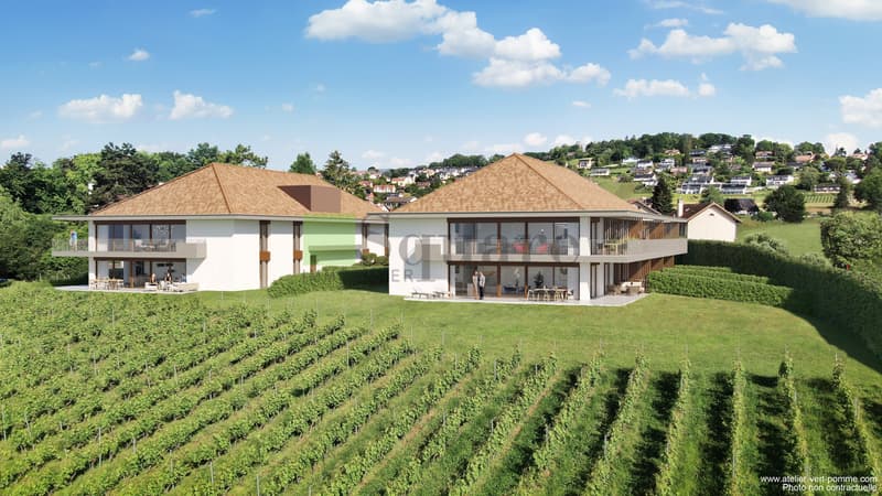 Magnifique 3,5 pièces dans une nouvelle résidence au coeur des vignes (3)