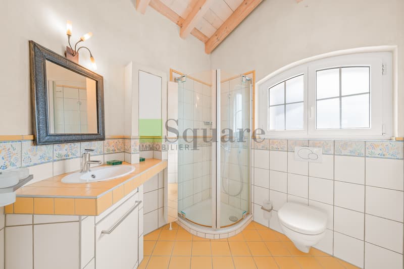 Villa provençale d'exception avec piscine à Fully (13)