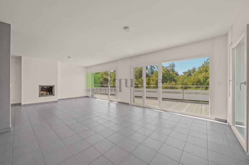 Magnifique appartement de 4.5 pièces (6)