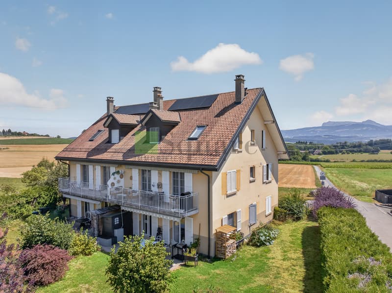 Magnifique appartement en duplex de 5.5 pièces avec vue dégagée (1)