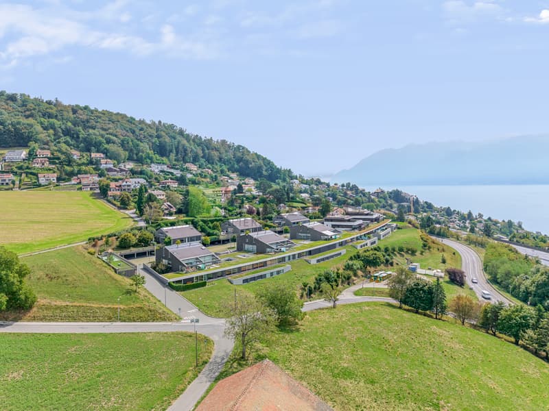 Appartement d'exception avec vue panoramique sur le Léman - Grandvaux (6)