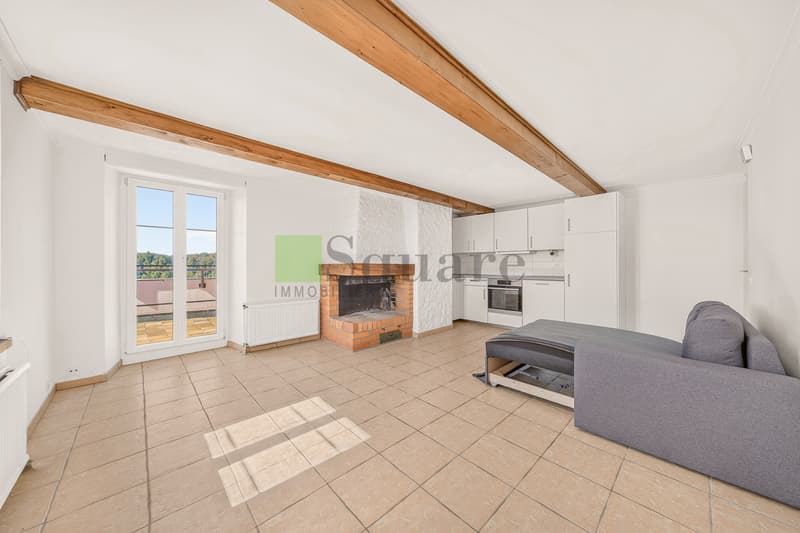 Maison locative de 12 pièces (9)