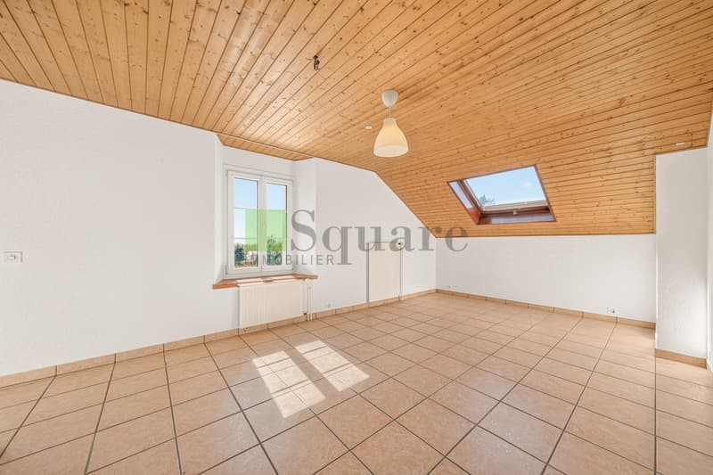 Maison locative de 12 pièces (6)