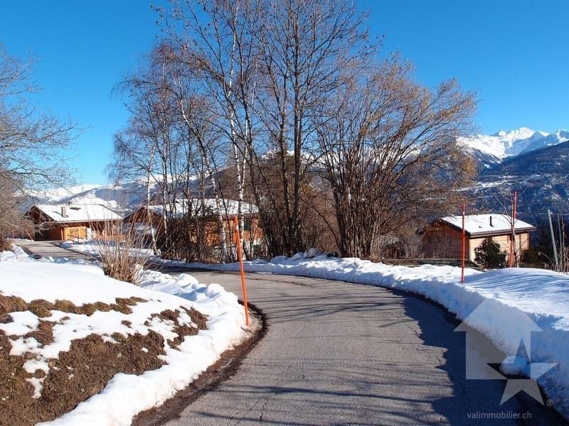 Ovronnaz, Valimmobilier (2)