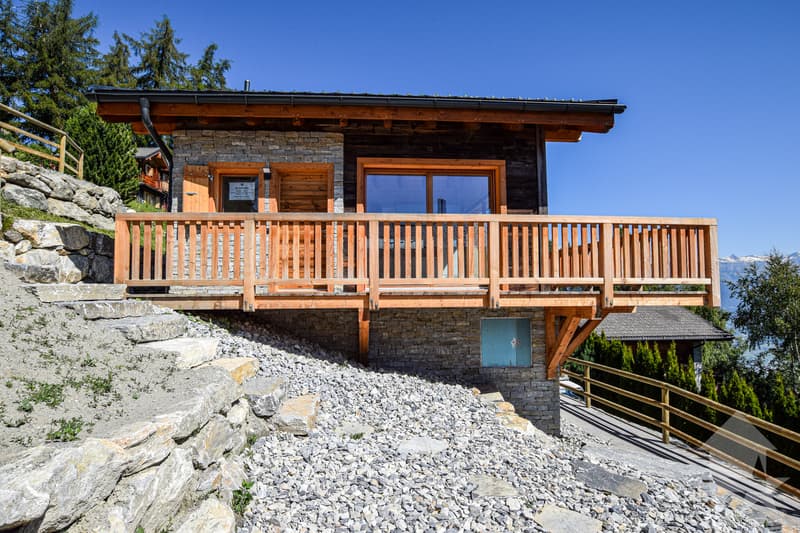Charmant petit chalet (4)