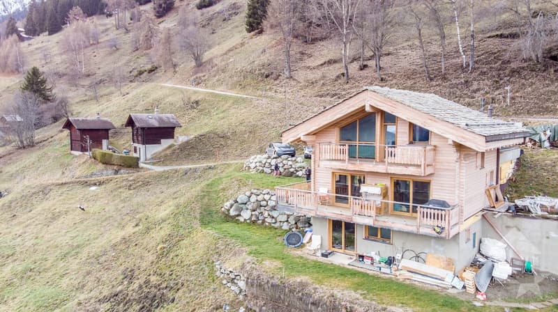 Beau chalet (4)