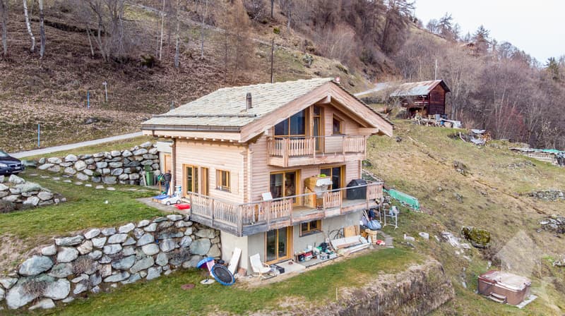 Beau chalet (3)
