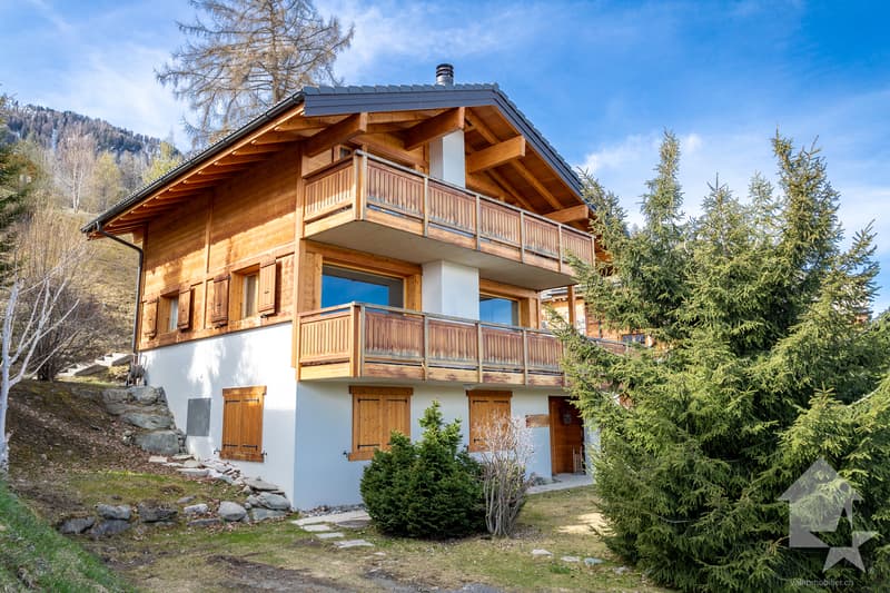 Lumineux chalet ski-in ski-out, 9.5 p, 310 m2, vue imprenable (1)