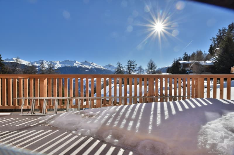 Magnifique chalet de standing (12)