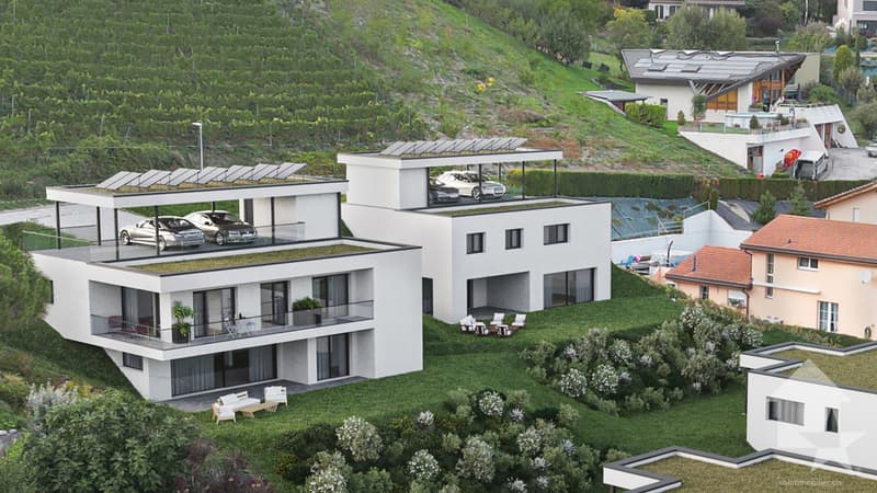 Magnifique villa d'architecte de 290 m2, parcelle de 600 m2 (1)